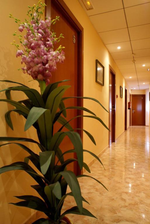 Hotel Mont-Roig المظهر الخارجي الصورة